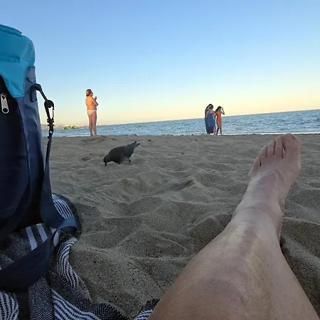 Estudio Acogedor Y Tranquilo En Zona Estupenda *