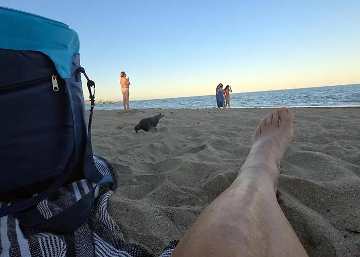 Estudio Acogedor Y Tranquilo En Zona Estupenda *